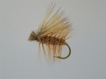 images/productimages/small/Caddis irrisistible.jpg
